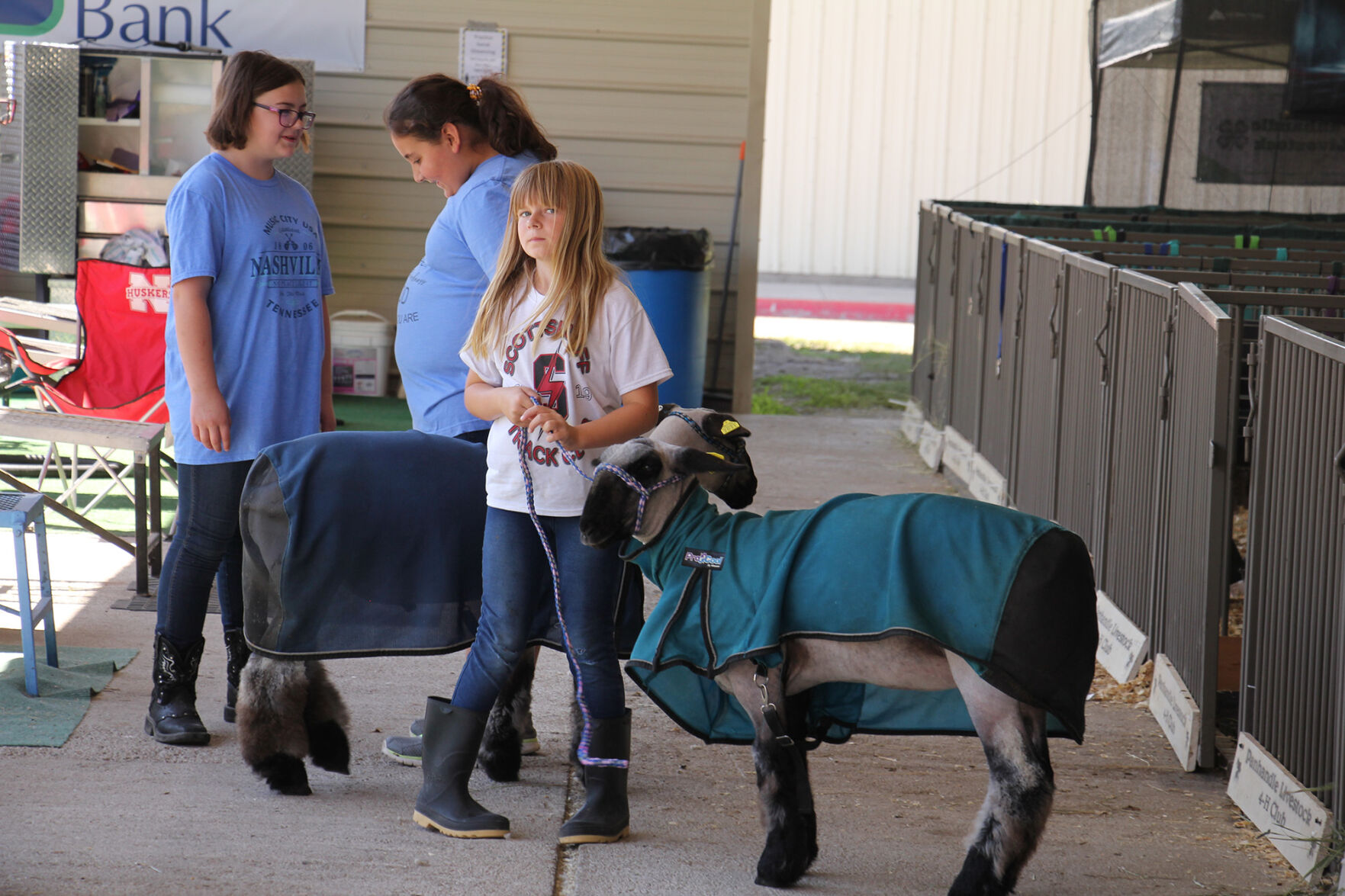 PHOTOS: More from the Scotts Bluff County Fair 2020